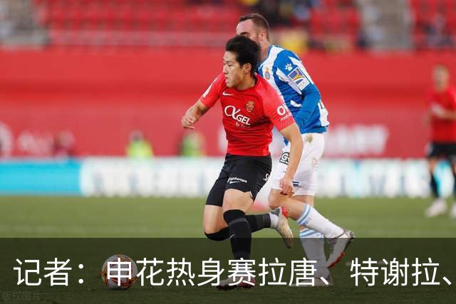 记者：申花热身赛拉唐、特谢拉、米内罗、刘诚宇没有出场
